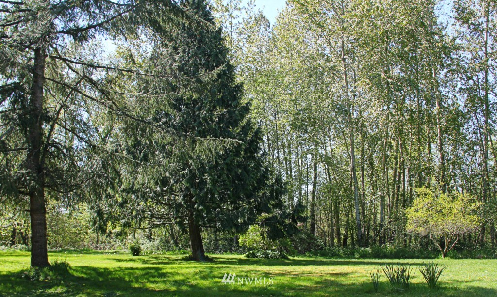 374 Kline Road Bellingham, WA 98226 - Photo 23 of 25