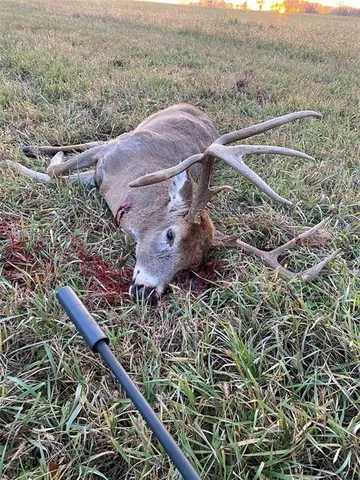 $849,000 | 24008 East 205th Street, Pleasant Hill, MO 64080