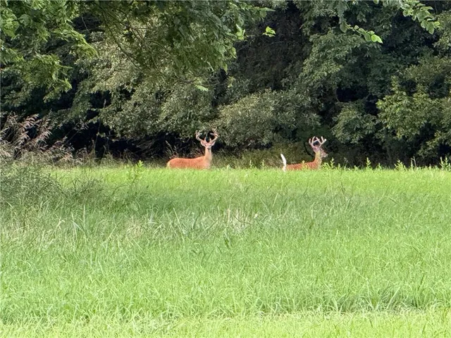 $849,000 | 24008 East 205th Street, Pleasant Hill, MO 64080