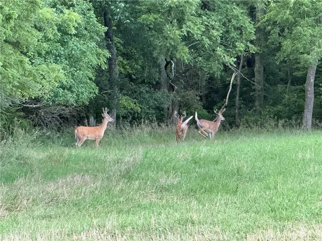 $849,000 | 24008 East 205th Street, Pleasant Hill, MO 64080