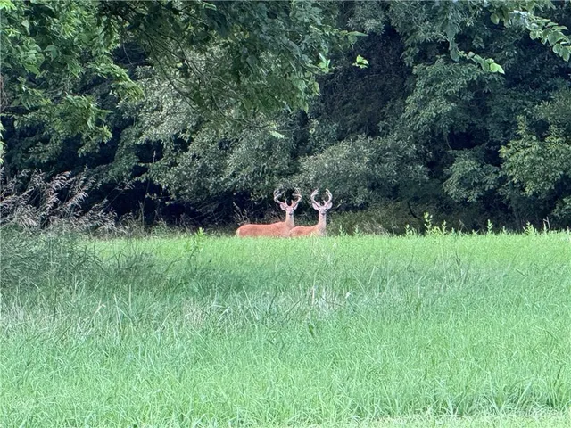 $849,000 | 24008 East 205th Street, Pleasant Hill, MO 64080