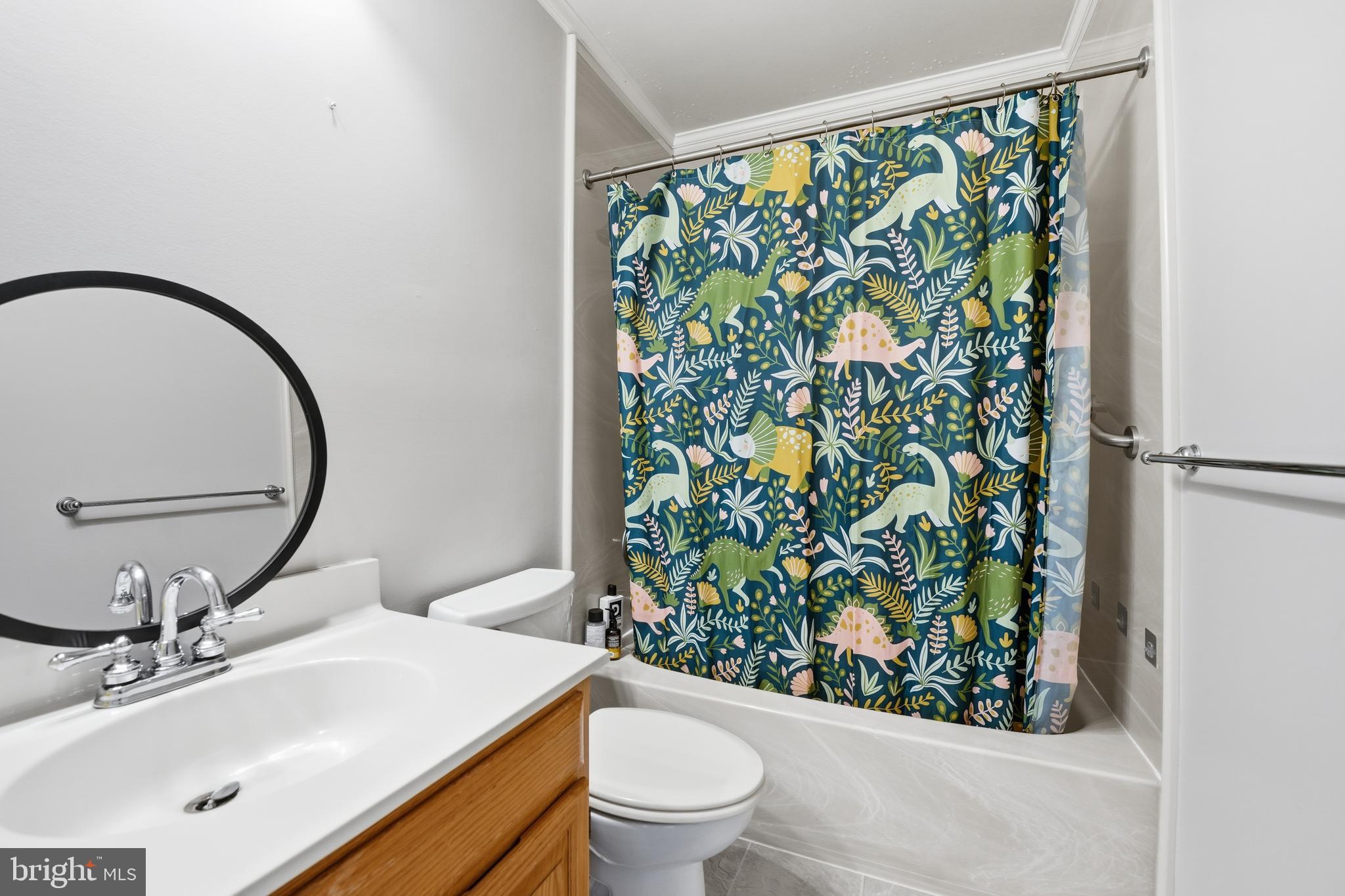 3582 Lions Field Road Triangle, VA 22172 - Photo 49 of 66 a bathroom with a sink a toilet and a mirror