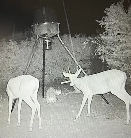a view of a chairs and table in the patio