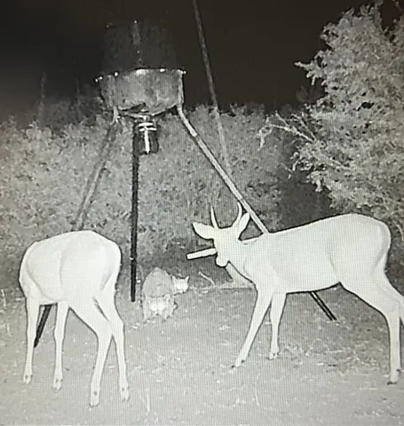 a view of a chairs and table in the patio