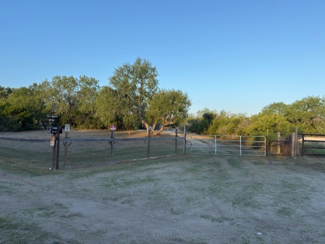 211 County Road 229 Three Rivers, TX 78071 - Photo 2 of 18 a view of a forest with trees in the background