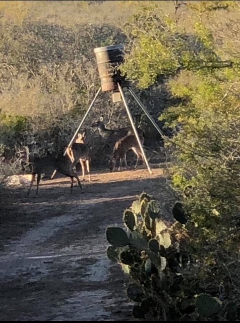 211 County Road 229 Three Rivers, TX 78071 - Photo 10 of 18 a bird view of a house