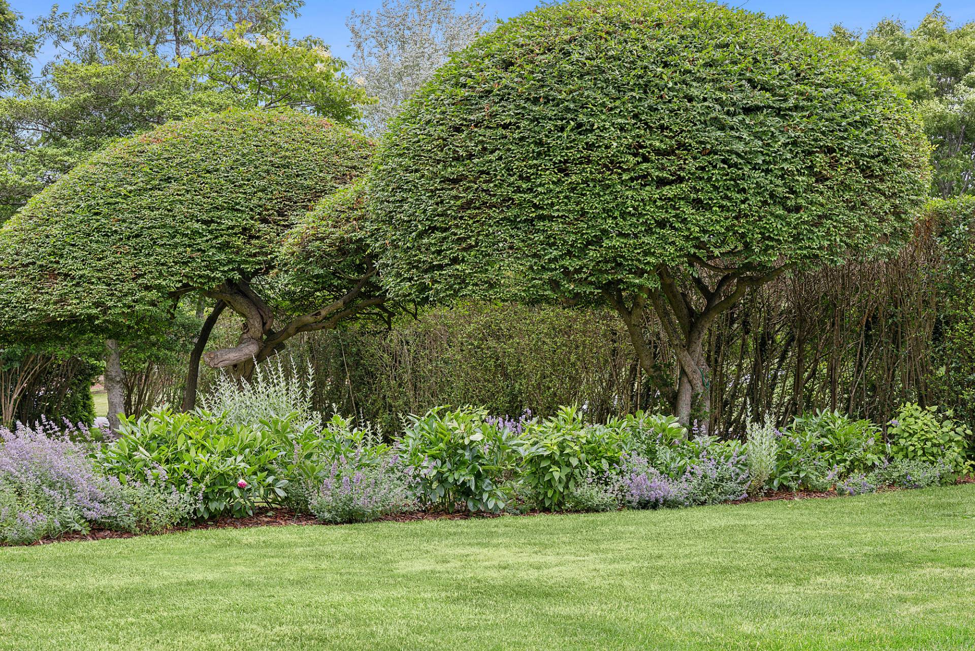 93 Egypt Lane East Hampton, NY 11937 - Photo 47 of 50 a view of a yard