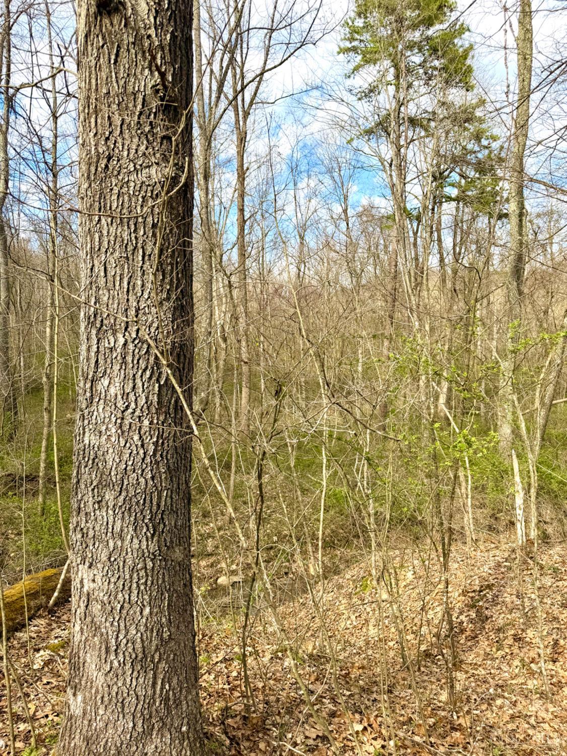 0 Fyffe Hollow Road Chillicothe, OH 45601 - Photo 73 of 96