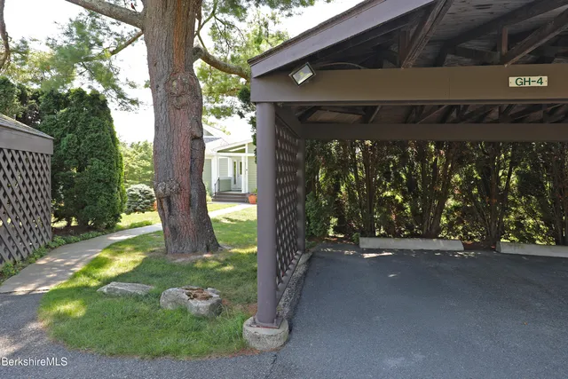 a view of backyard with a tree