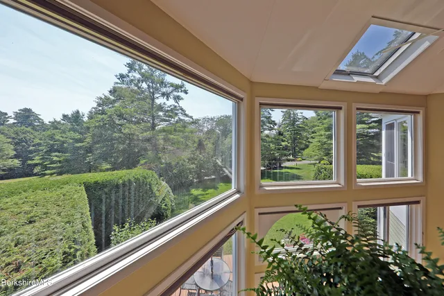 a view of a garden from a window