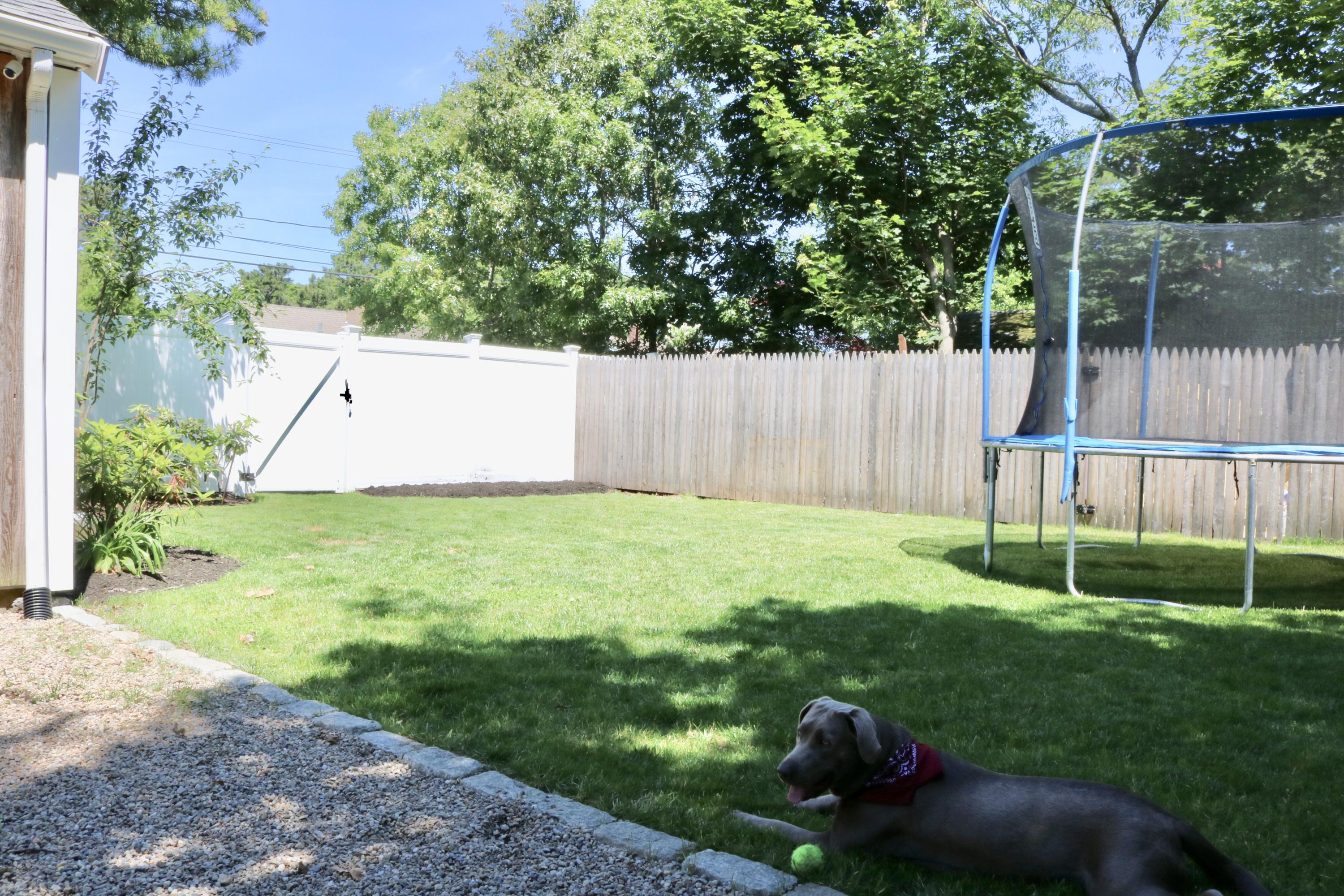 162 Spring Street Hyannis, MA 02601 - Photo 5 of 30 a view of a backyard with a small cabin