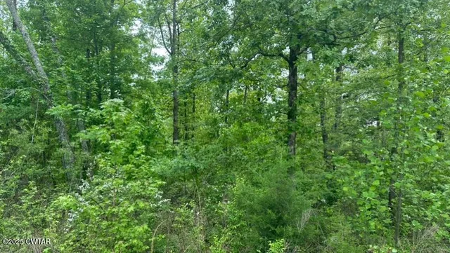 $235,000 | 0 Arl Bailey Road, Finger, TN 38334