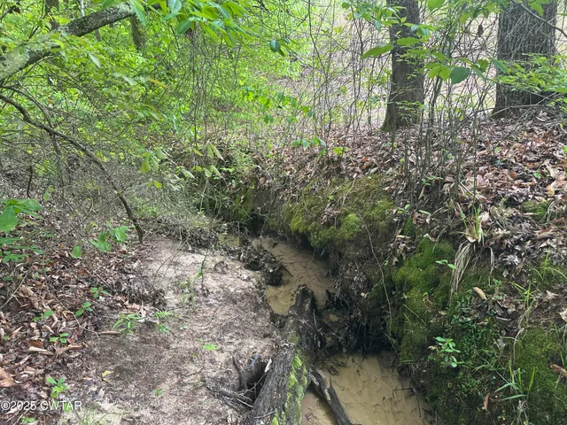 $235,000 | 0 Arl Bailey Road, Finger, TN 38334