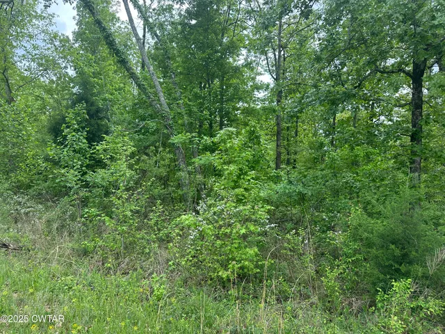 $235,000 | 0 Arl Bailey Road, Finger, TN 38334