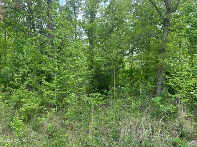 $235,000 | 0 Arl Bailey Road, Finger, TN 38334