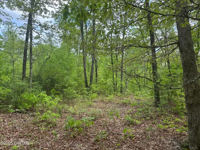 $235,000 | 0 Arl Bailey Road, Finger, TN 38334