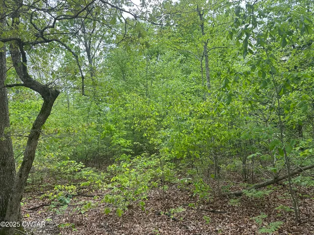 $235,000 | 0 Arl Bailey Road, Finger, TN 38334