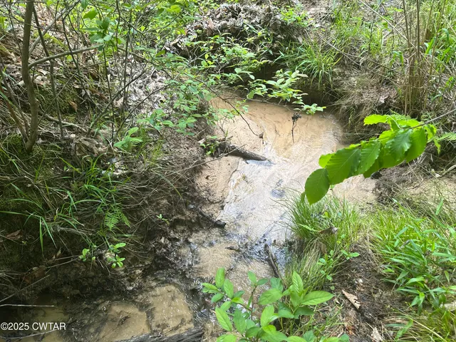 $235,000 | 0 Arl Bailey Road, Finger, TN 38334