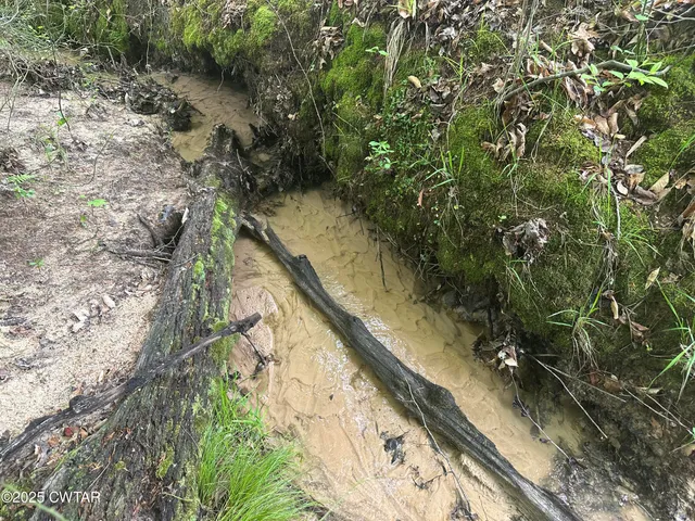 $235,000 | 0 Arl Bailey Road, Finger, TN 38334