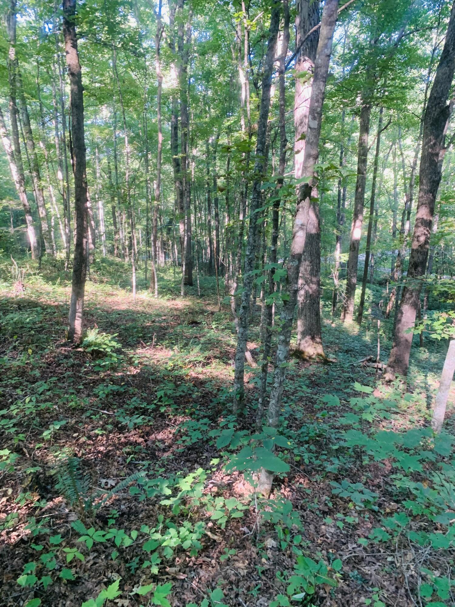 9999 West Adkins Arthur Road Somerset, KY 42501 - Photo 12 of 24 FFB4100F-3525-4764-B4C1-BAA077410AFB