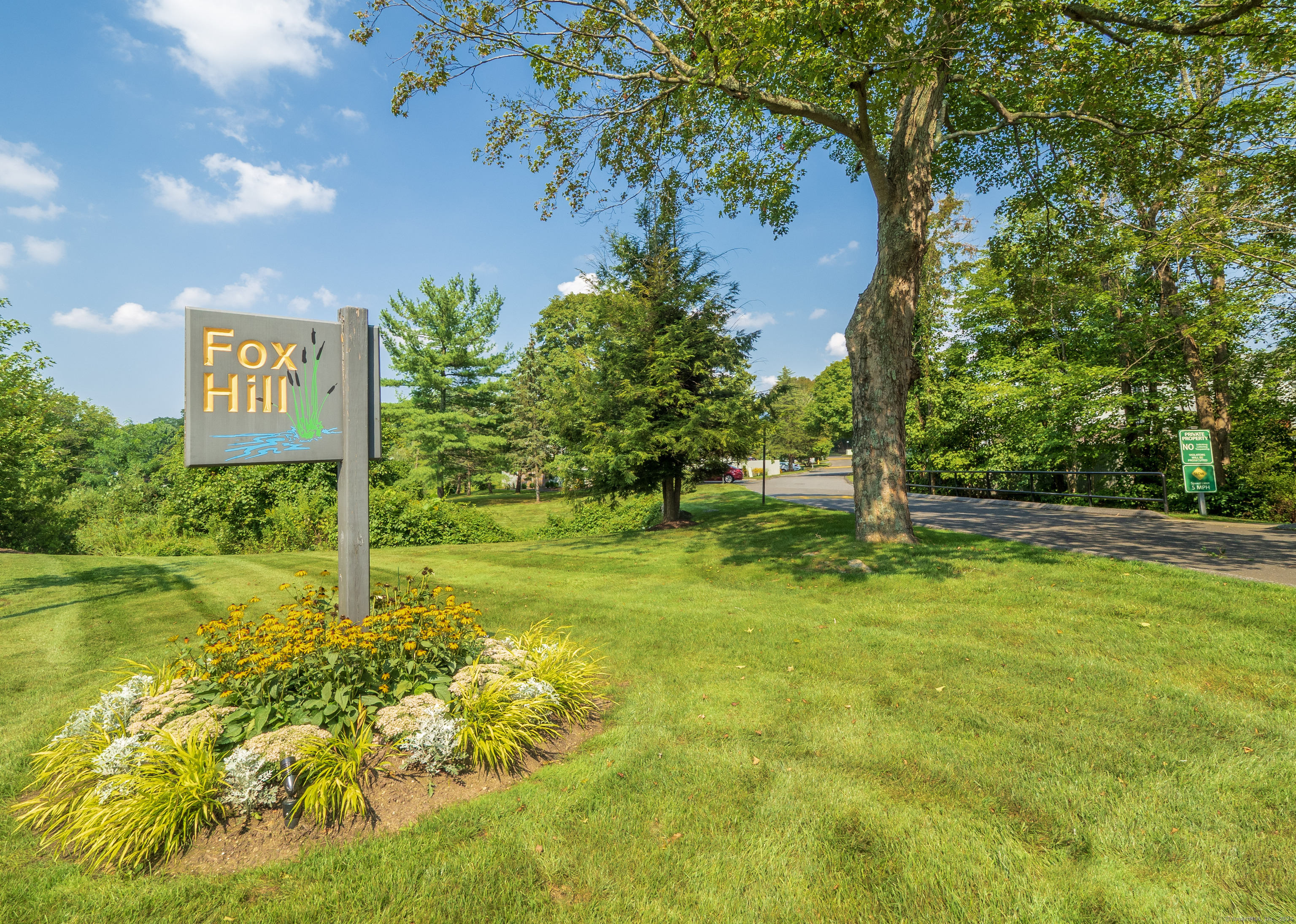 a view of a back yard