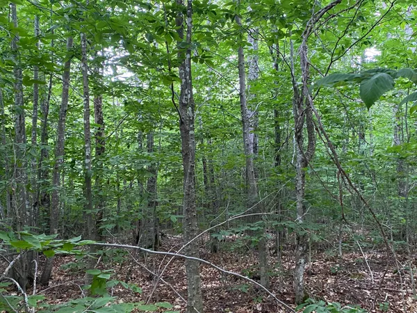 $65,000 | Lot 29 Scammon Road, Greenville, ME 04441