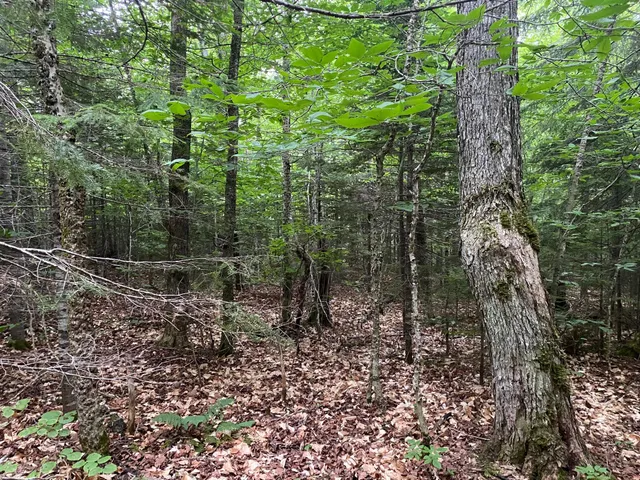 $65,000 | Lot 29 Scammon Road, Greenville, ME 04441