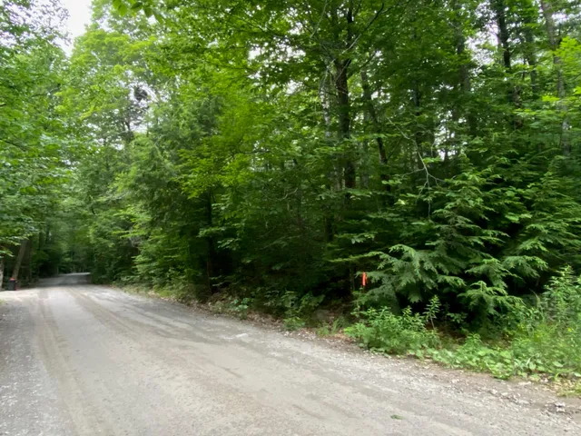 $65,000 | Lot 29 Scammon Road, Greenville, ME 04441