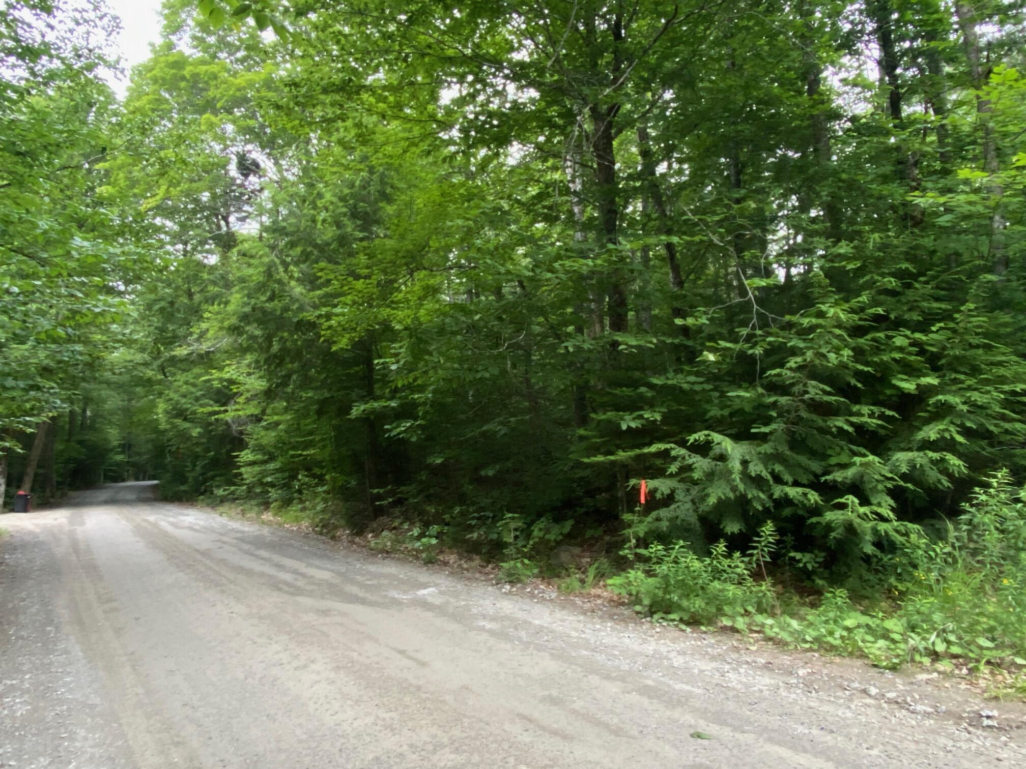 Lot 29 Scammon Road Greenville, ME 04441 - Photo 13 of 13 IMG_3427