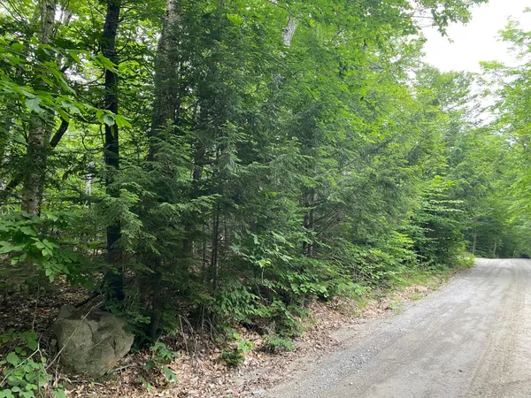$65,000 | Lot 29 Scammon Road, Greenville, ME 04441