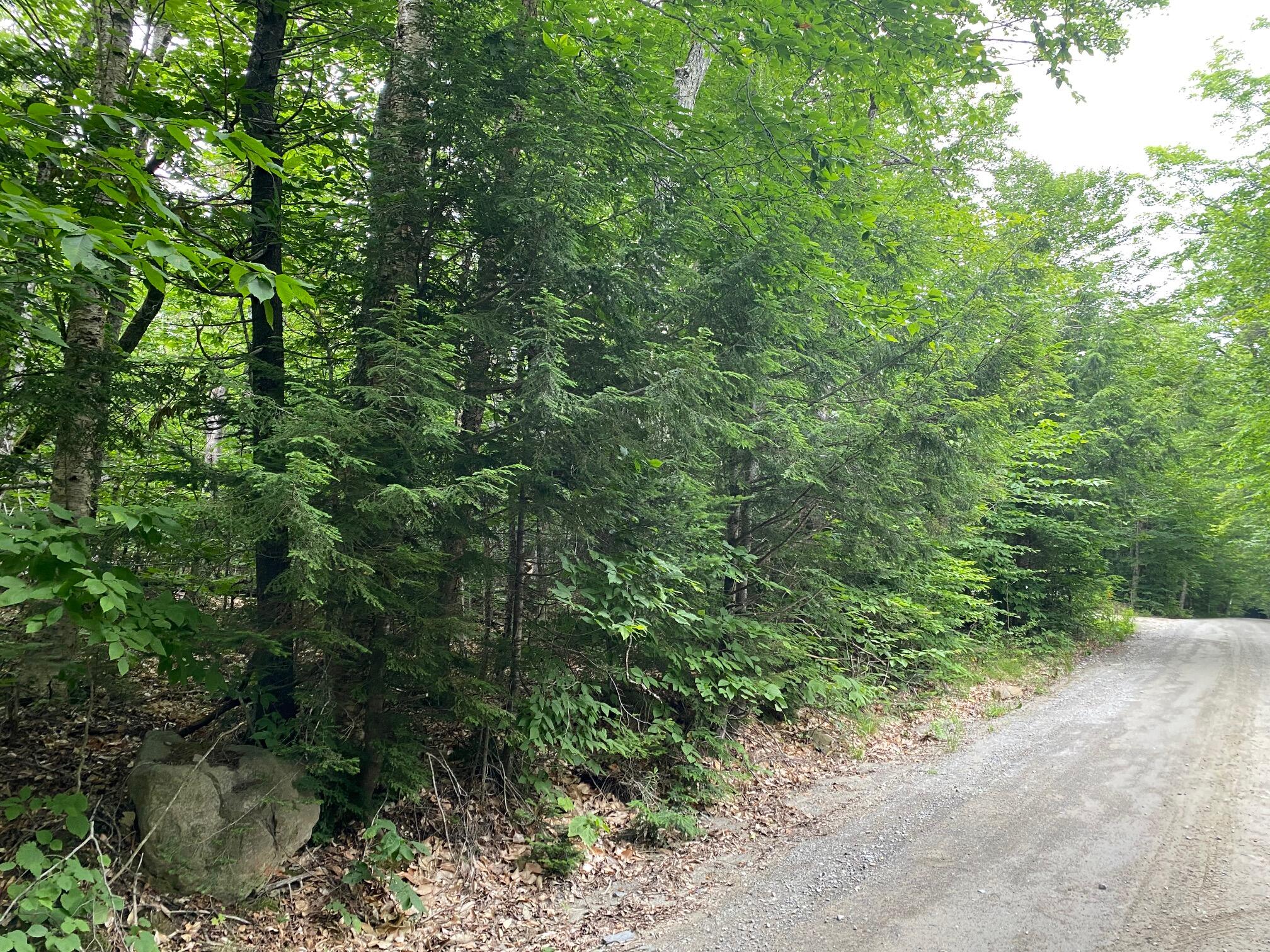 Lot 29 Scammon Road Greenville, ME 04441 - Photo 2 of 13 IMG_3414