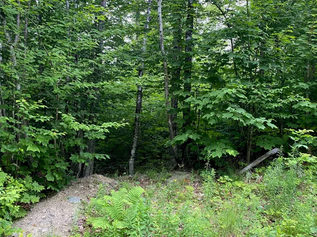 $65,000 | Lot 29 Scammon Road, Greenville, ME 04441