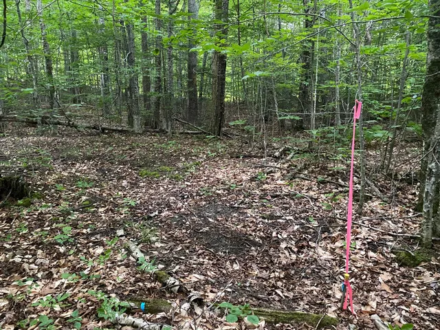 $65,000 | Lot 29 Scammon Road, Greenville, ME 04441