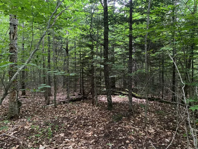 $65,000 | Lot 29 Scammon Road, Greenville, ME 04441