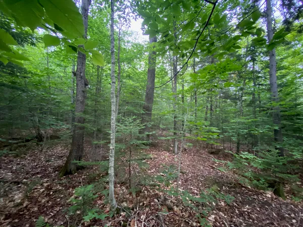$65,000 | Lot 29 Scammon Road, Greenville, ME 04441