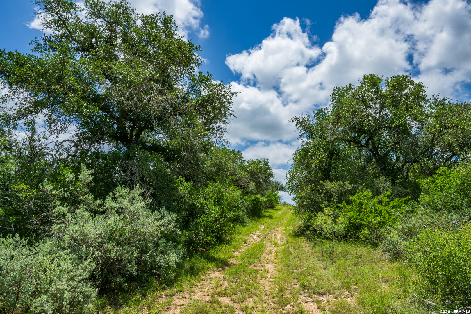 0 Miller Road Uvalde, TX 78801 - Photo 2 of 41