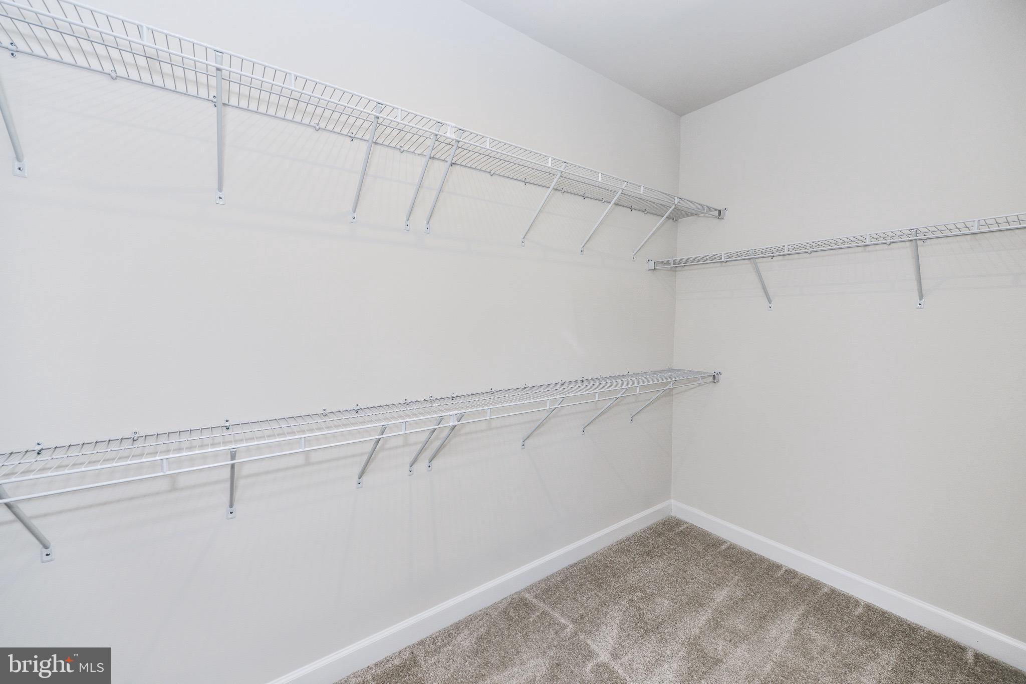 22353 Exe Square Ashburn, VA 20148 - Photo 28 of 38 Master walk in closet