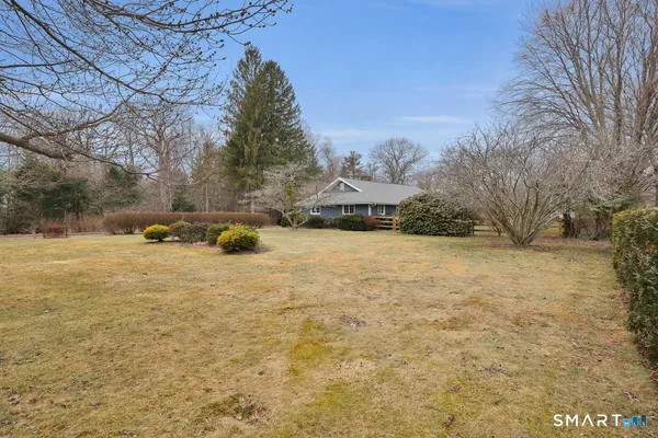 a view of open space with tree s