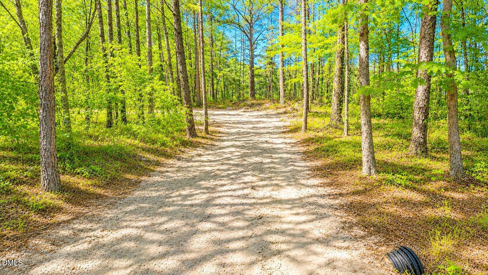 0 Huntsboro Road Oxford, NC 27565 - Photo 4 of 5