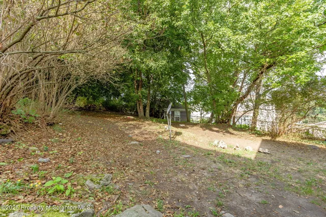 a view of a yard with a tree