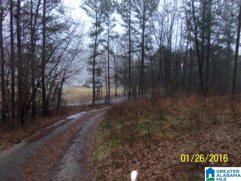 595 Bramlett Road Piedmont, AL 36272 - Photo 6 of 12