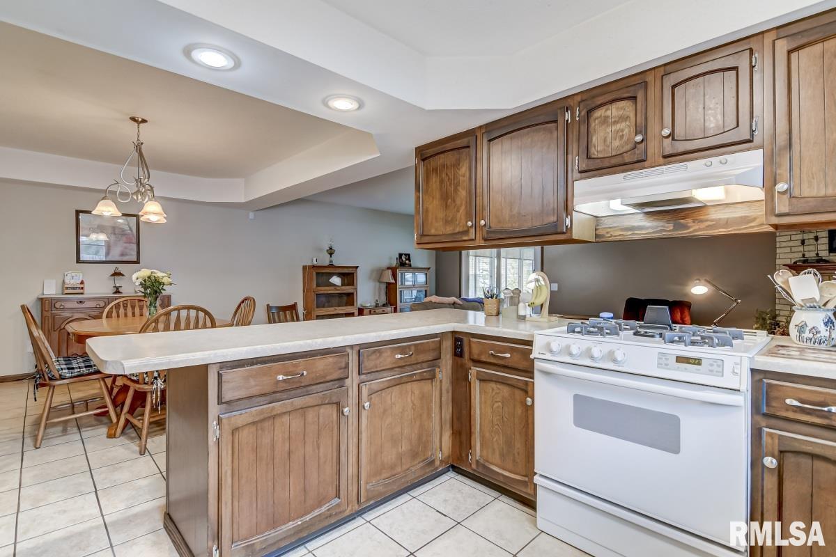 309 Collier Drive Springfield, IL 62704 - Photo 11 of 44 Gallery Image 11