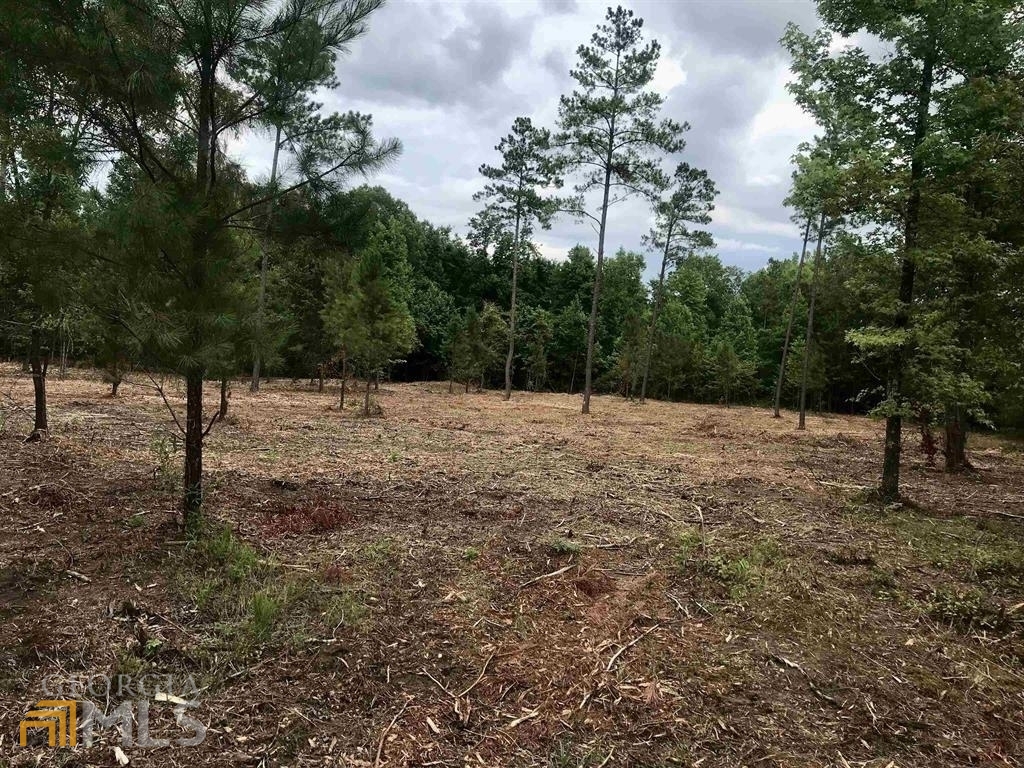 2420 Dennis Road Macon, GA 31220 - Photo 1 of 1