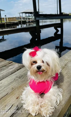 a view of a room with shelves