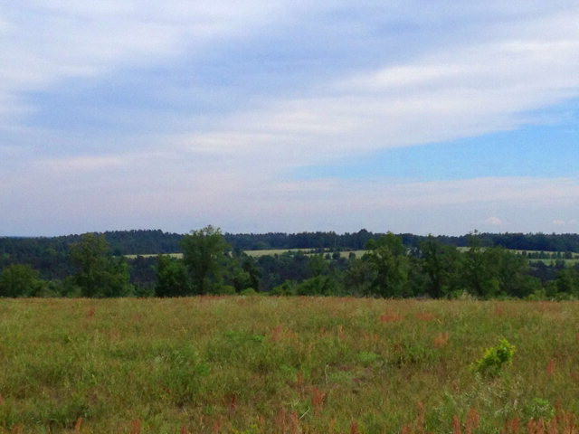 Tract B Township Road Aiken, SC 29803 - Photo 1 of 19