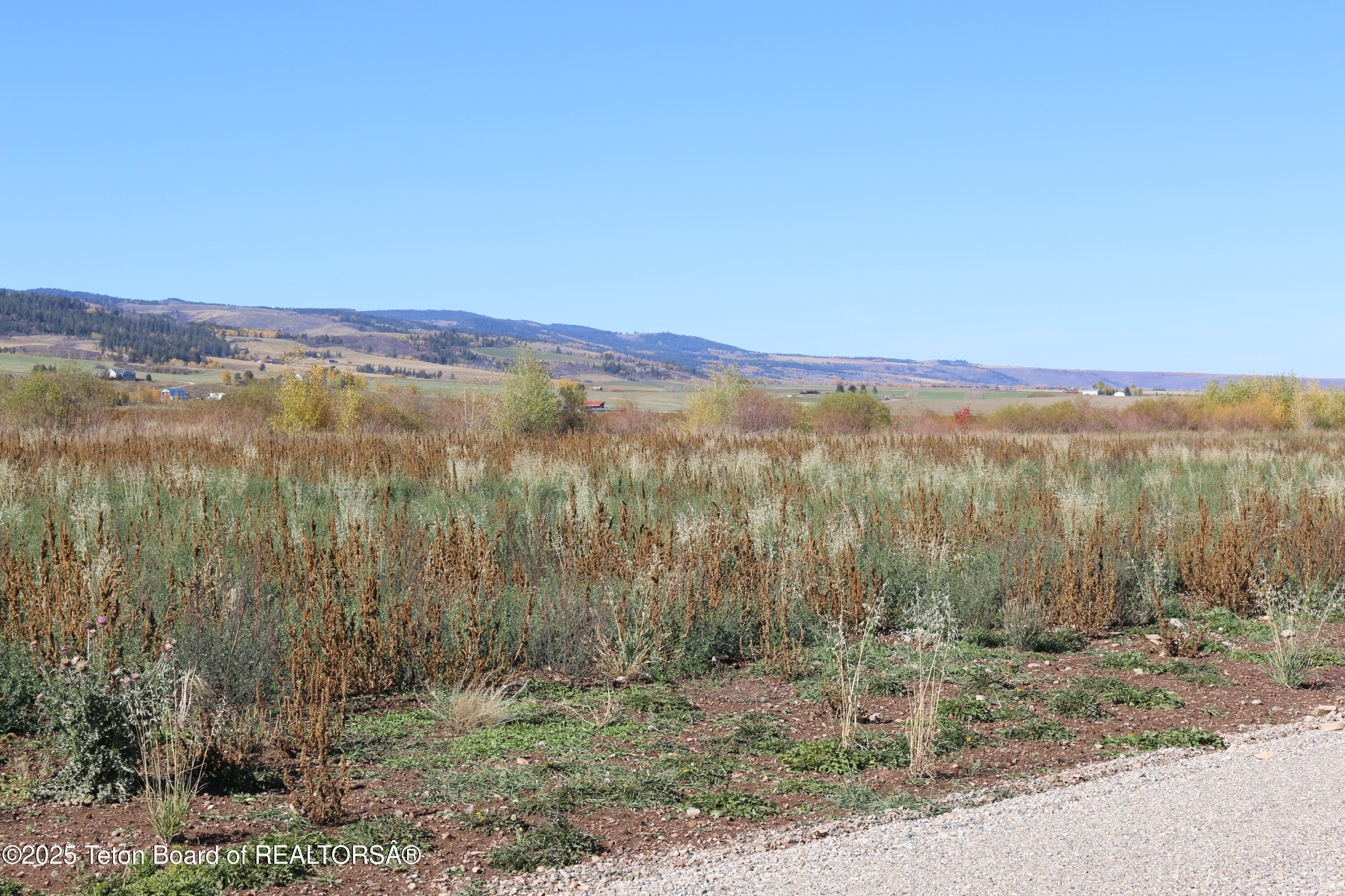Tbd Lot 2 West Tbd Driggs, ID 83422 - Photo 12 of 15 IMG_3720