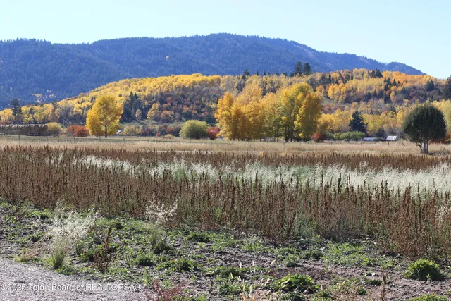 $699,000 | Tbd Lot 2 West Tbd, Driggs, ID 83422