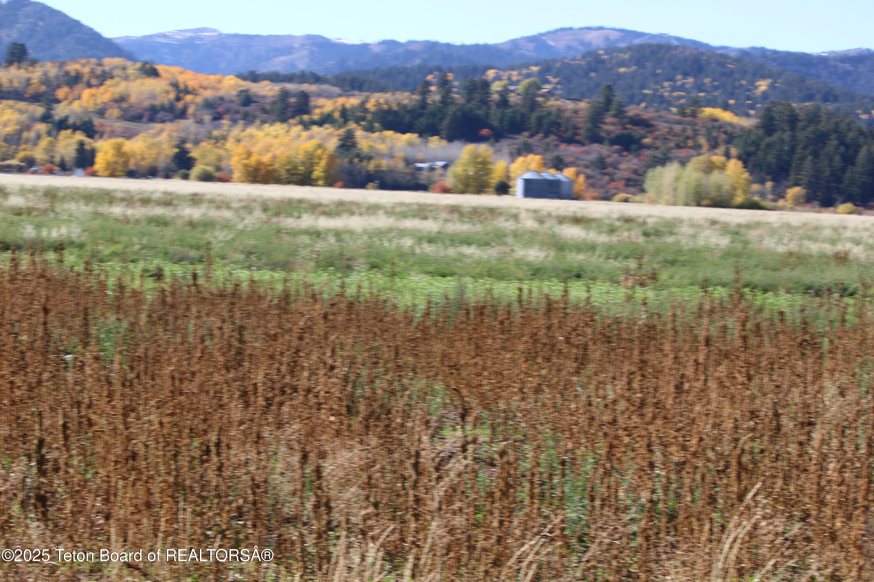 Tbd Lot 2 West Tbd Driggs, ID 83422 - Photo 2 of 15 IMG_3690