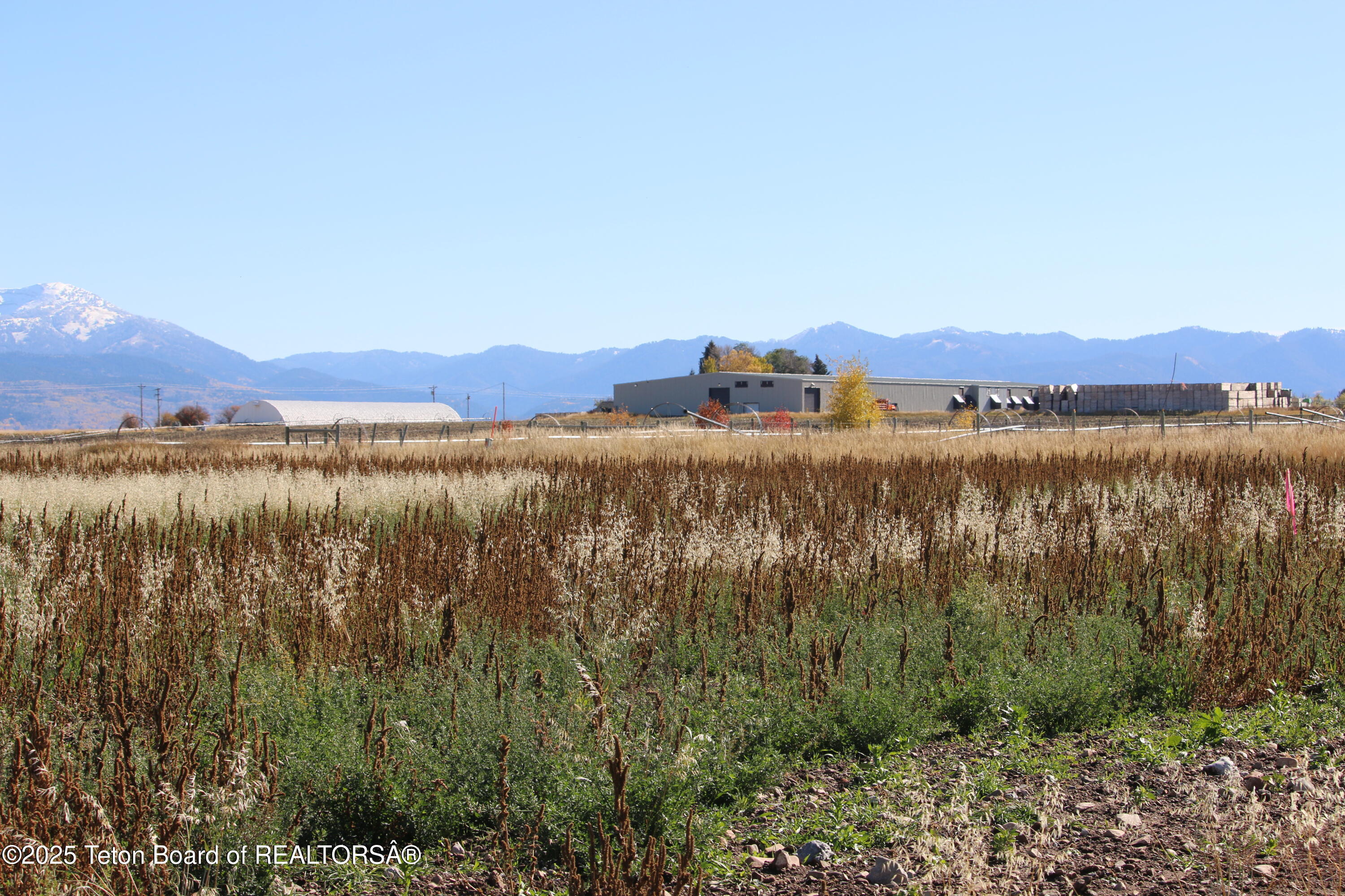 Tbd Lot 2 West Tbd Driggs, ID 83422 - Photo 5 of 15 IMG_3710