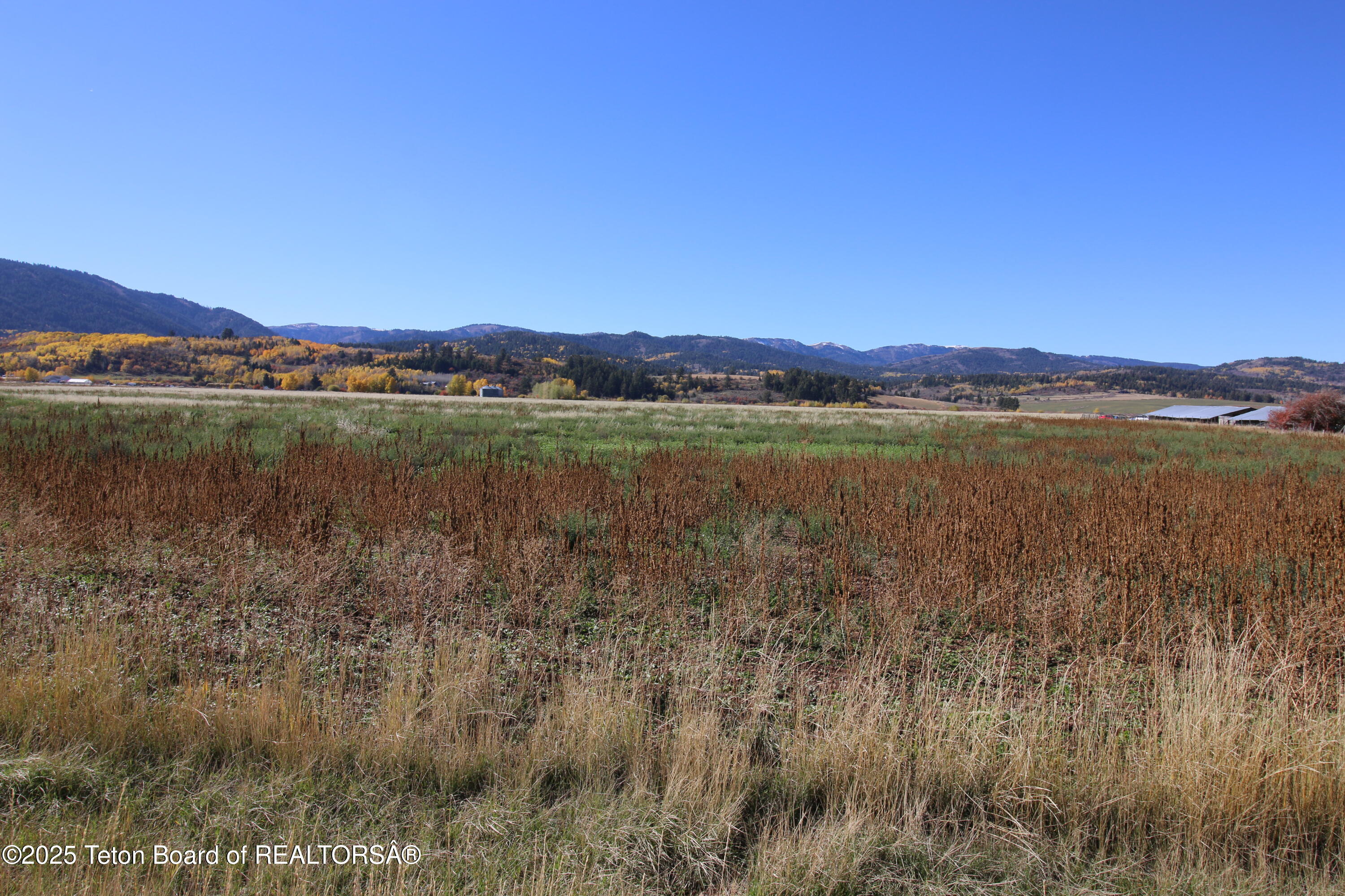 Tbd Lot 2 West Tbd Driggs, ID 83422 - Photo 10 of 15 IMG_3676